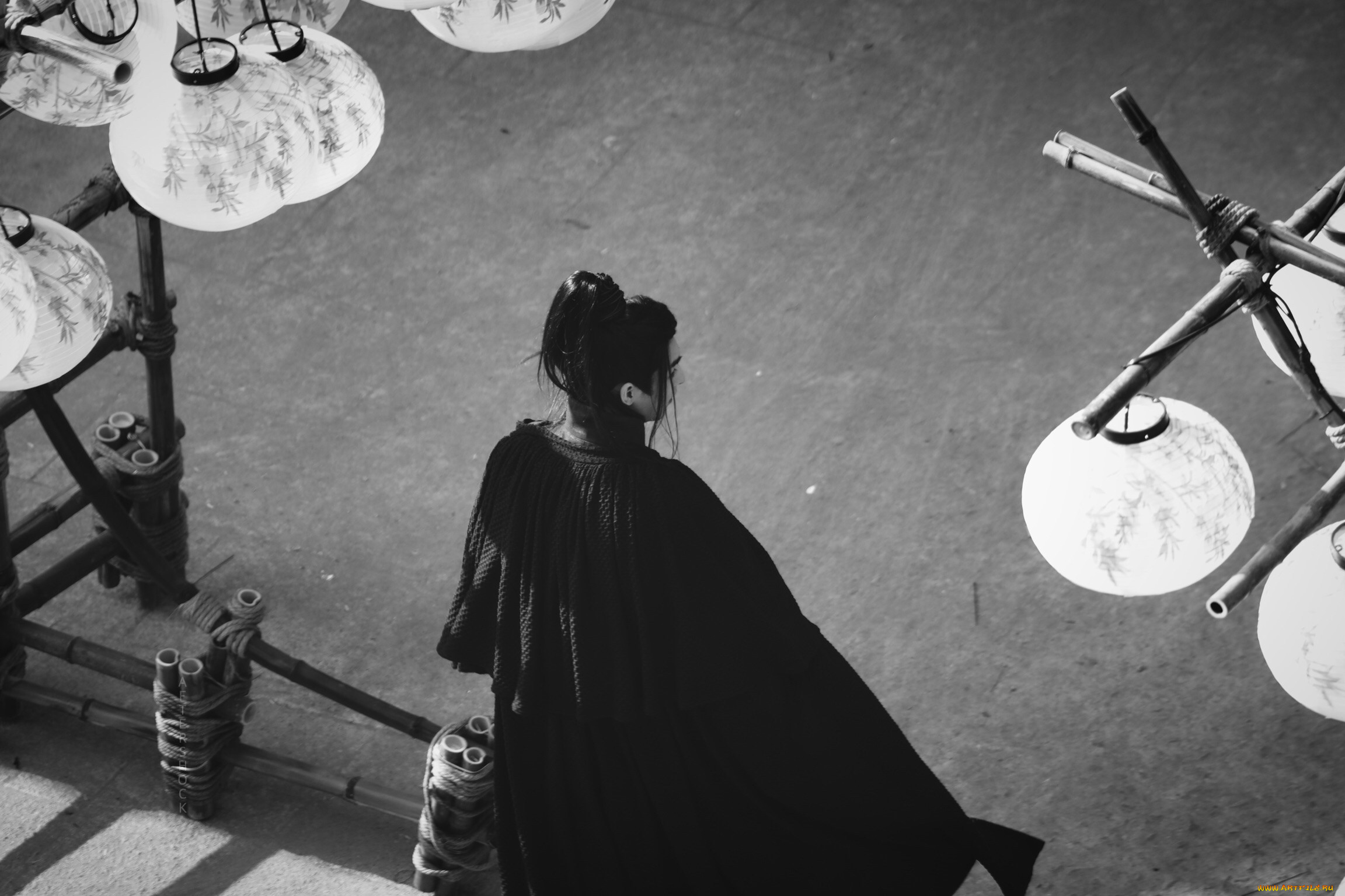  , dance of the phoenix, , , , , wang, hao, xuan